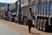 Production de café: Des milliers de tonnes bloquées au port d’Abidjan