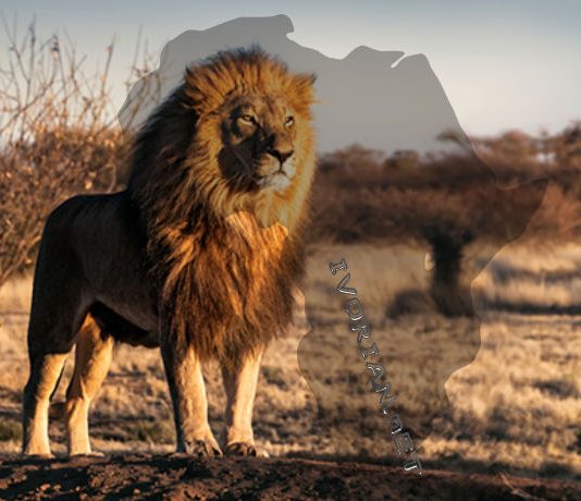 La prospérité de l’Afrique passe par l’Afrique