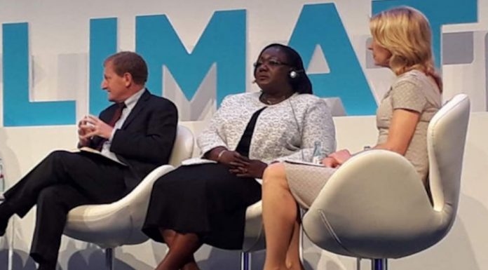 Lutte contre la déforestation: Anne Ouloto fait le point des engagements de la Côte d’Ivoire