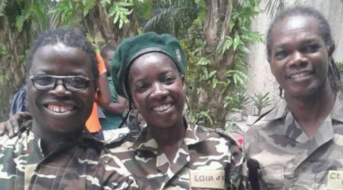 Théâtre : Le trafic forestier de l’ouest démantelé