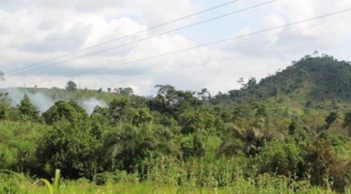 Exclusif/ Un conflit frontalier entre Bangolo et Logoualé aux odeurs de fer.