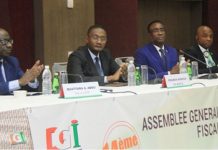 Budget 2019 : l’Etat Ivoirien l’estime à 7334,3 milliards FCfa