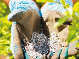 Subventions à l’agriculture africaine : une fausse bonne idée !