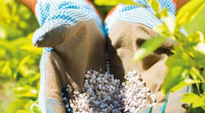 Subventions à l’agriculture africaine : une fausse bonne idée !