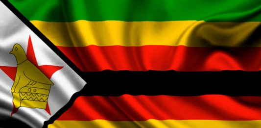 Les trois fossoyeurs de l’avenir du Zimbabwe !