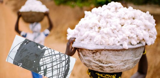 L’africapitalisme : l’avenir de l’Afrique