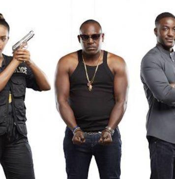 Radiodiffusion Télévision Ivoirienne : une échéance nommée TNT