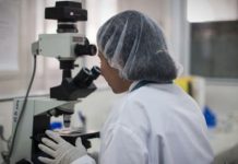 L’Algérie débarrassée du paludisme