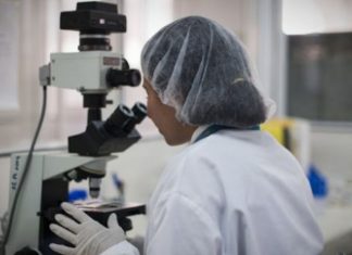 L’Algérie débarrassée du paludisme