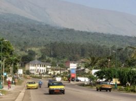 Cameroun : aux origines de l’hécatombe des entreprises publiques