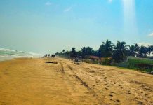 Côte d’Ivoire: Vente de terrains entre Bassam et Assouindé : prix très abordables, offres limitées!!