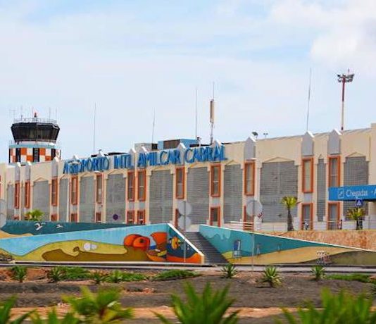 Cap vert : les secrets d’une réussite économique en plein essor !