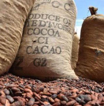 Covid-19 : Pas de rupture dans la commercialisation, plus de 93% de la production déjà vendue