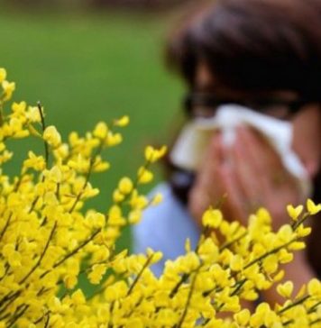 Comment bien différencier Covid-19 et rhume des foins?