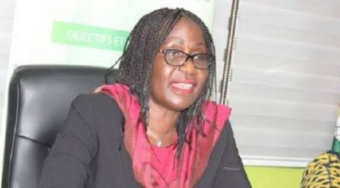 Cadhp: “La Cour africaine ne peut se substituer aux juridictions nationales”