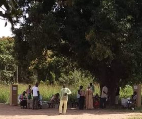 BOUAKÉ/KONANPKLIKRO (non loin du campus 2). Des bureaux de vote sous un manguier. Les habitants de la ville sont restés à la maison. Il y'a une très faible affluence... Appréciez