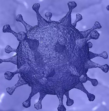 Covid-19: Nouveau variant détecté en Belgique, sa mutation «jamais observée» intéresse les chercheurs