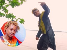 Côte d’Ivoire: Décès de l’artiste S.Kelly