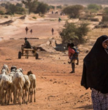 Choléra : l’épidémie fait plus de 3.300 morts au Nigéria et 156 décès au Niger