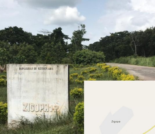 Culture et digitalisation: Une plateforme commune réunissant Payopa et Zigopa voit le jour