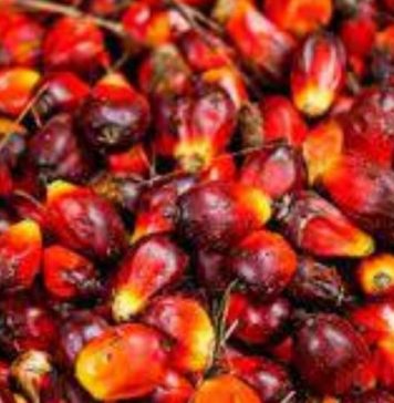 Abidjan: le prix de la banane de dessert en baisse, les autres produits sur le marché