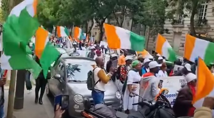 Marche de l’opposition en France pour dire non au 4eme mandat d’Alassane Ouattara