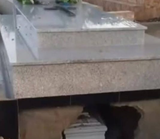 Profanation de la tombe de Nadya Sabeh, un suspect interpellé