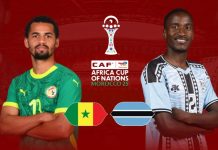 Can 2025: Sénégal – Botswana : les Lions de la Teranga lancent leur CAN 2025 face à des Zèbres ambitieux