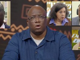 Côte d’Ivoire: “Photocopie” vice 1er ministre, la dynastie Ouattara en marche?