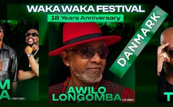 Waka Waka Festival* celebrates ✨18 YEARS✨ of Afro Urban Culture in Scandinavia!