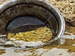 Or brut: la Guinée impose le raffinage local