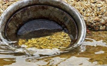 Or brut: la Guinée impose le raffinage local
